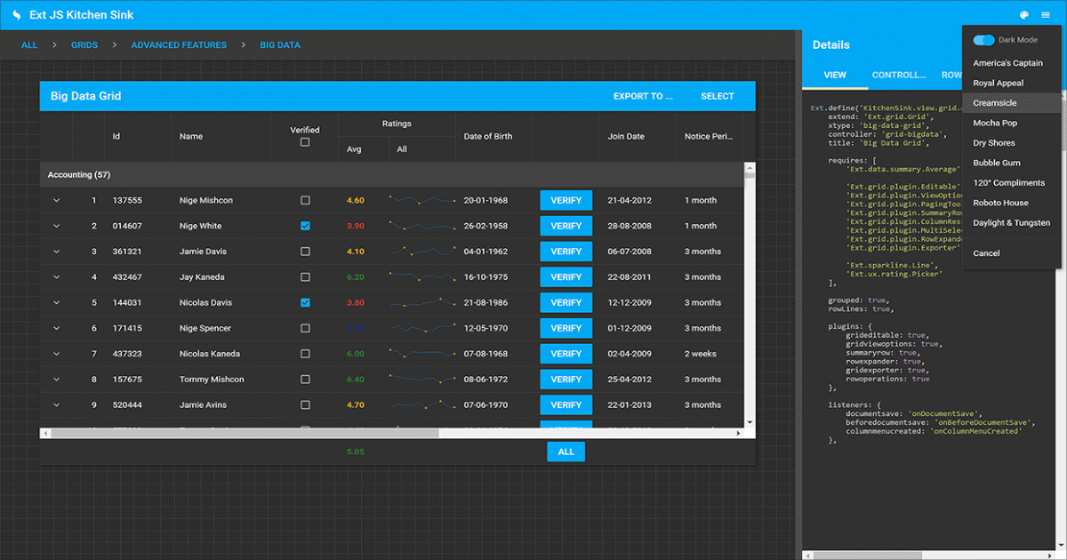 Sencha layout