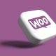 How to Solve Issues With WooCommerce Theme Development